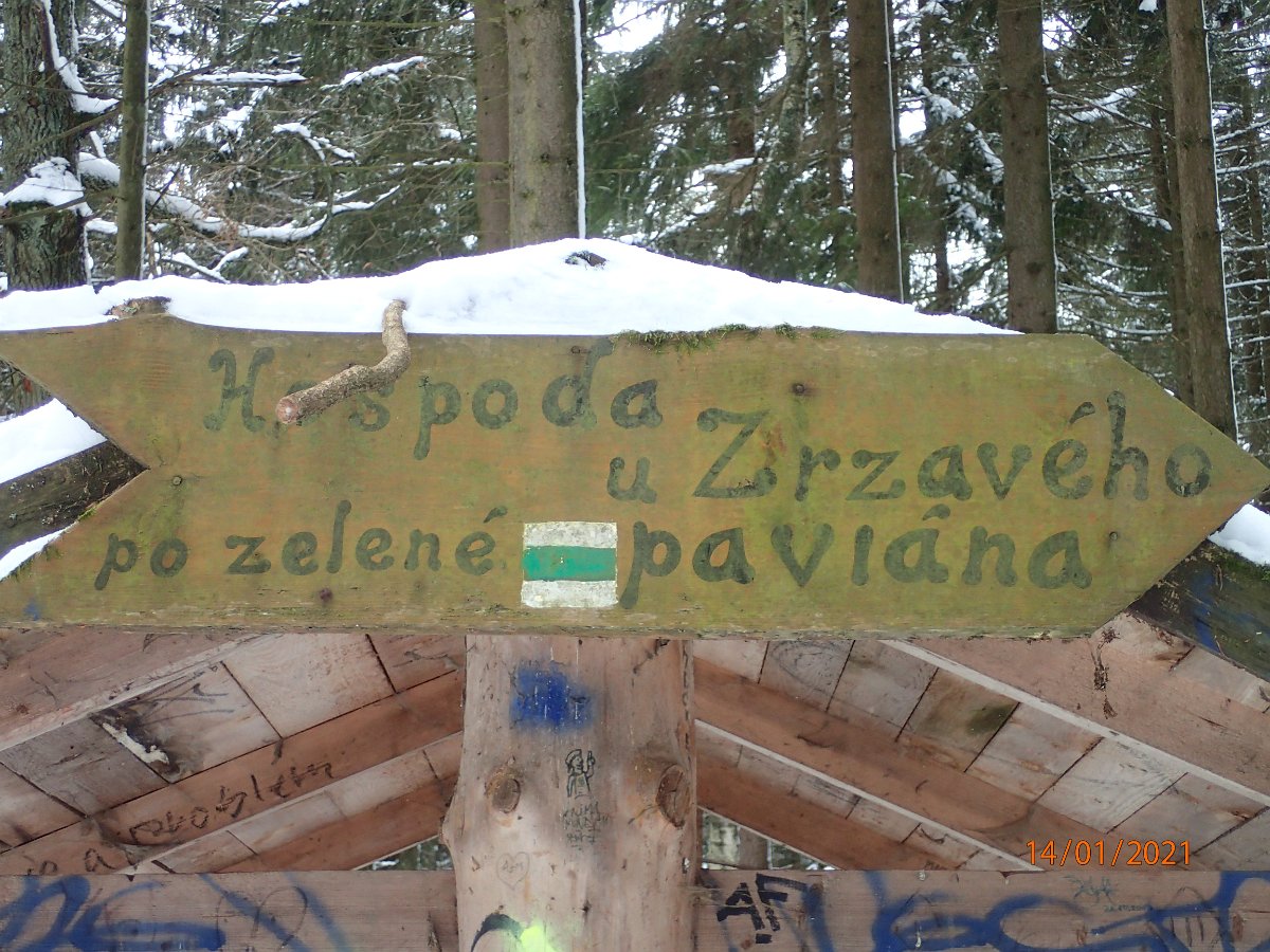 P1144207.JPG
