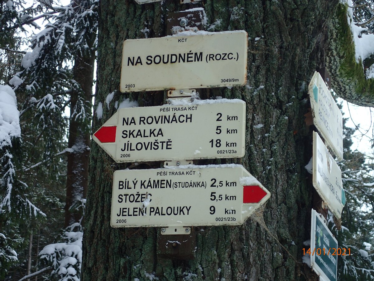 P1144210.JPG