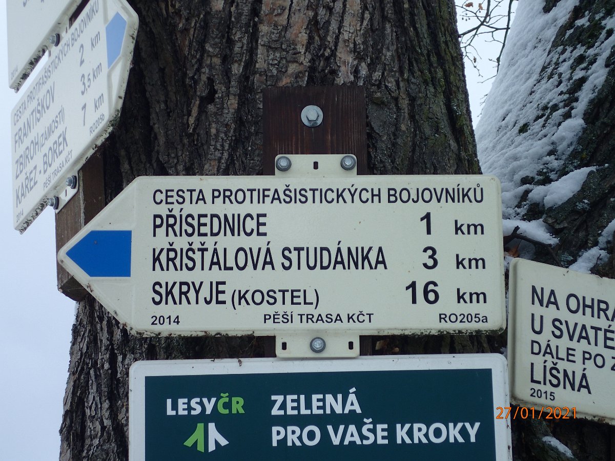 P1274250.JPG