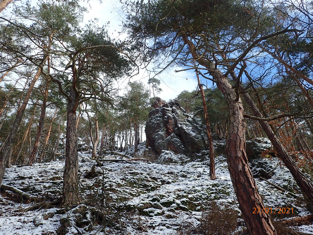 P1274271.JPG