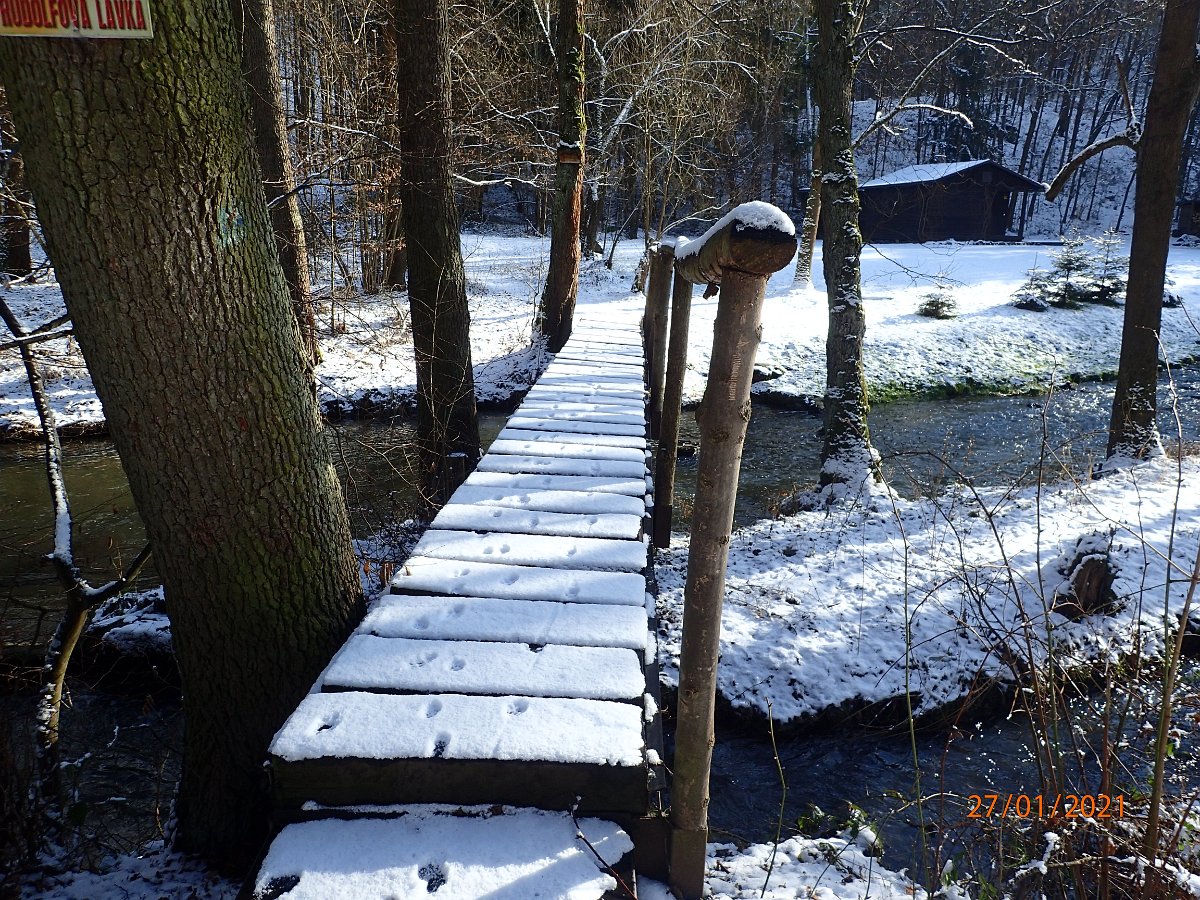 P1274293.JPG