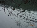 P3044421