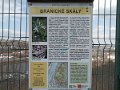 IMG_20210326_132335