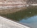 IMG_20210330_115000