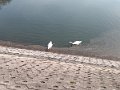 IMG_20210330_115048