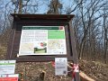 IMG_20210330_115226