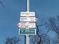 IMG_20210330_115303