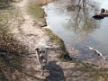 IMG_20210330_133011