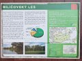 IMG_20210330_133130