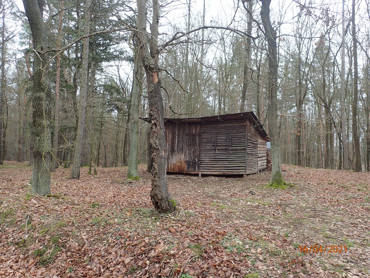 P4164544.JPG