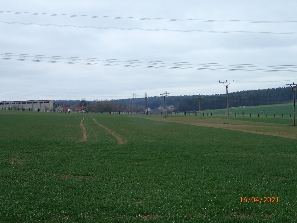 P4164550.JPG