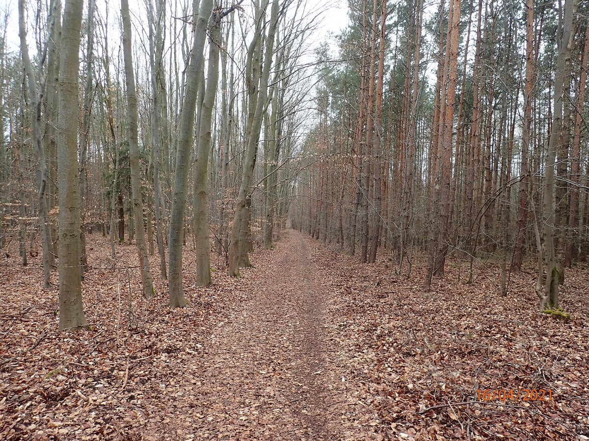 P4164555.JPG