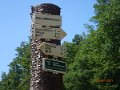 P7295119