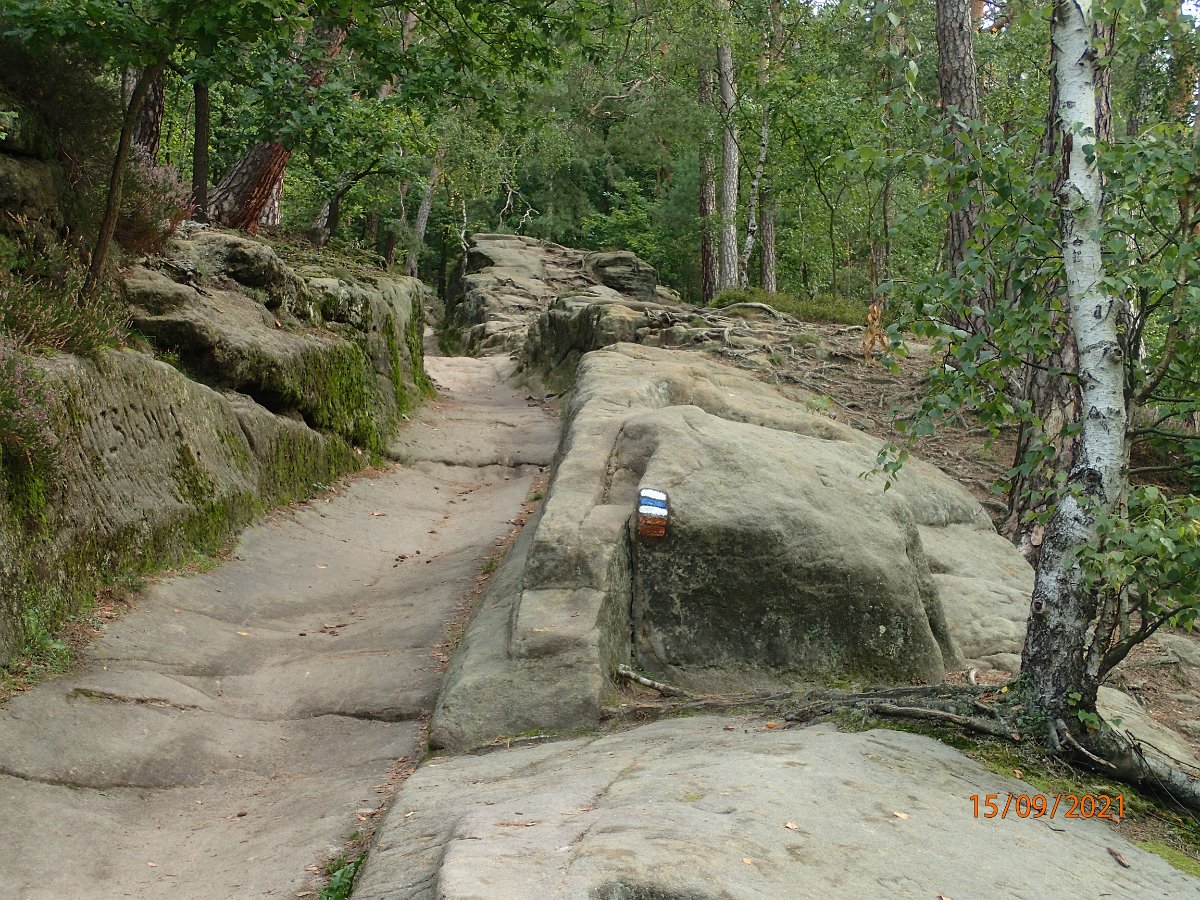 P9155437.JPG