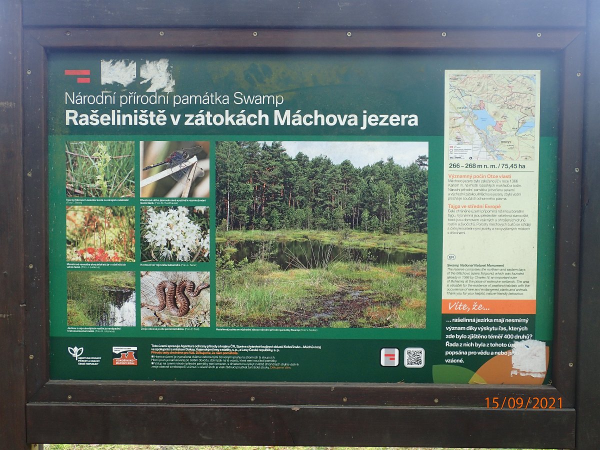P9155445.JPG
