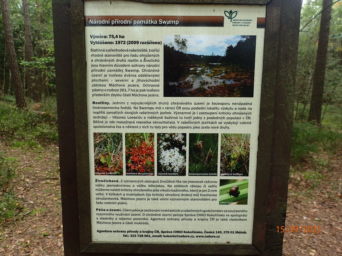 P9155446.JPG