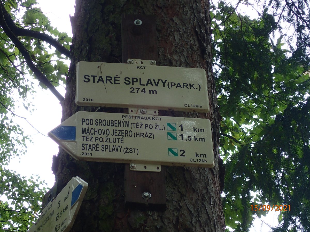 P9155448.JPG