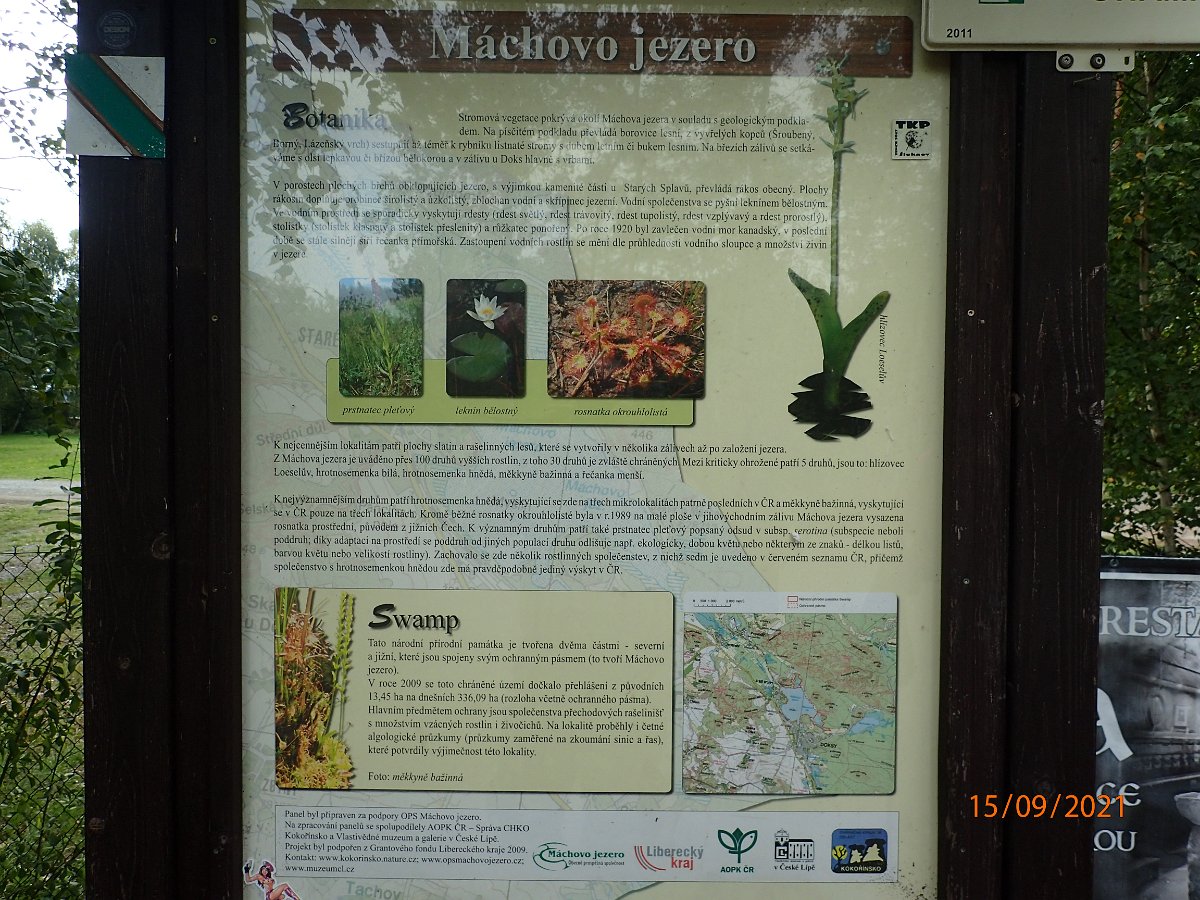P9155449.JPG