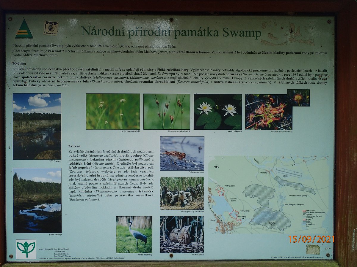 P9155453.JPG