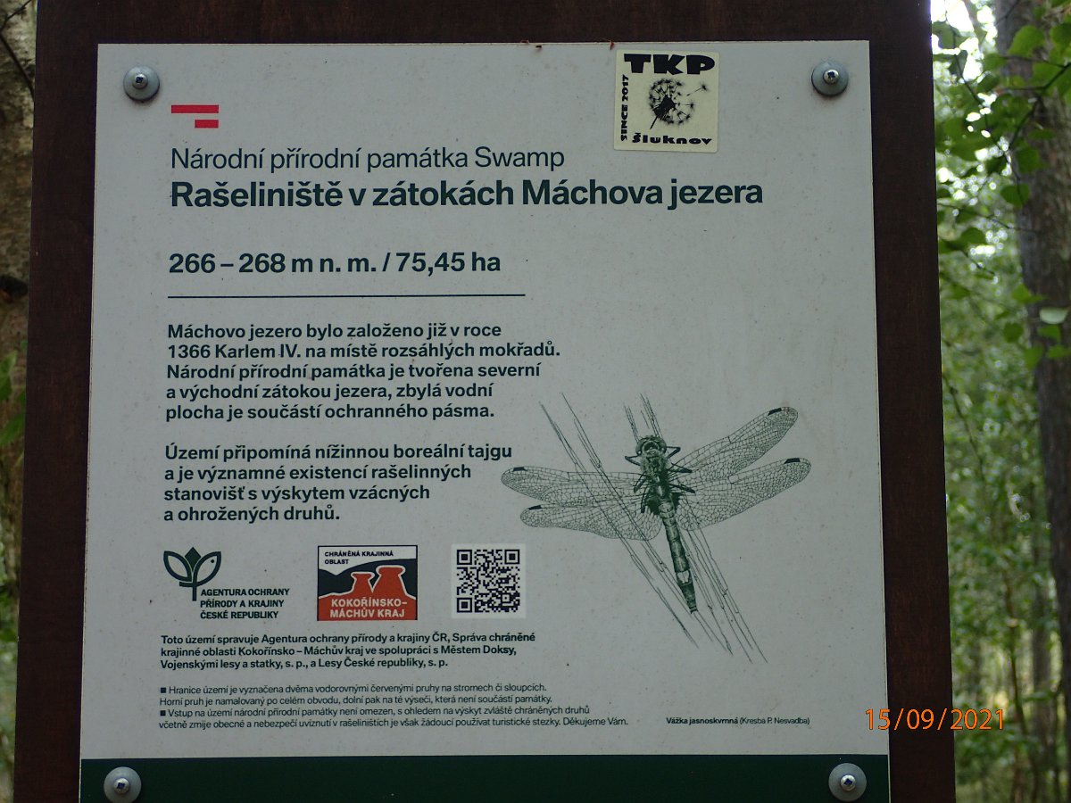 P9155454.JPG