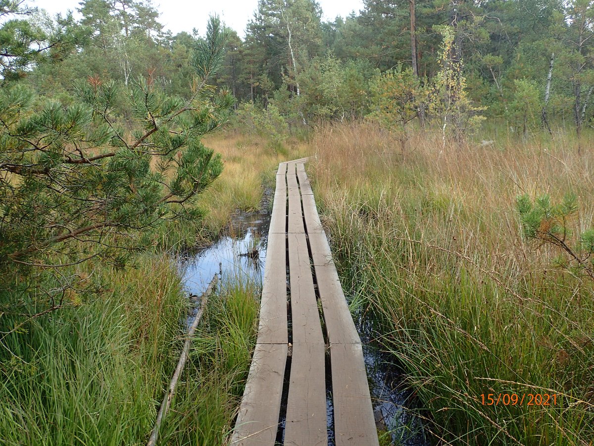 P9155455.JPG