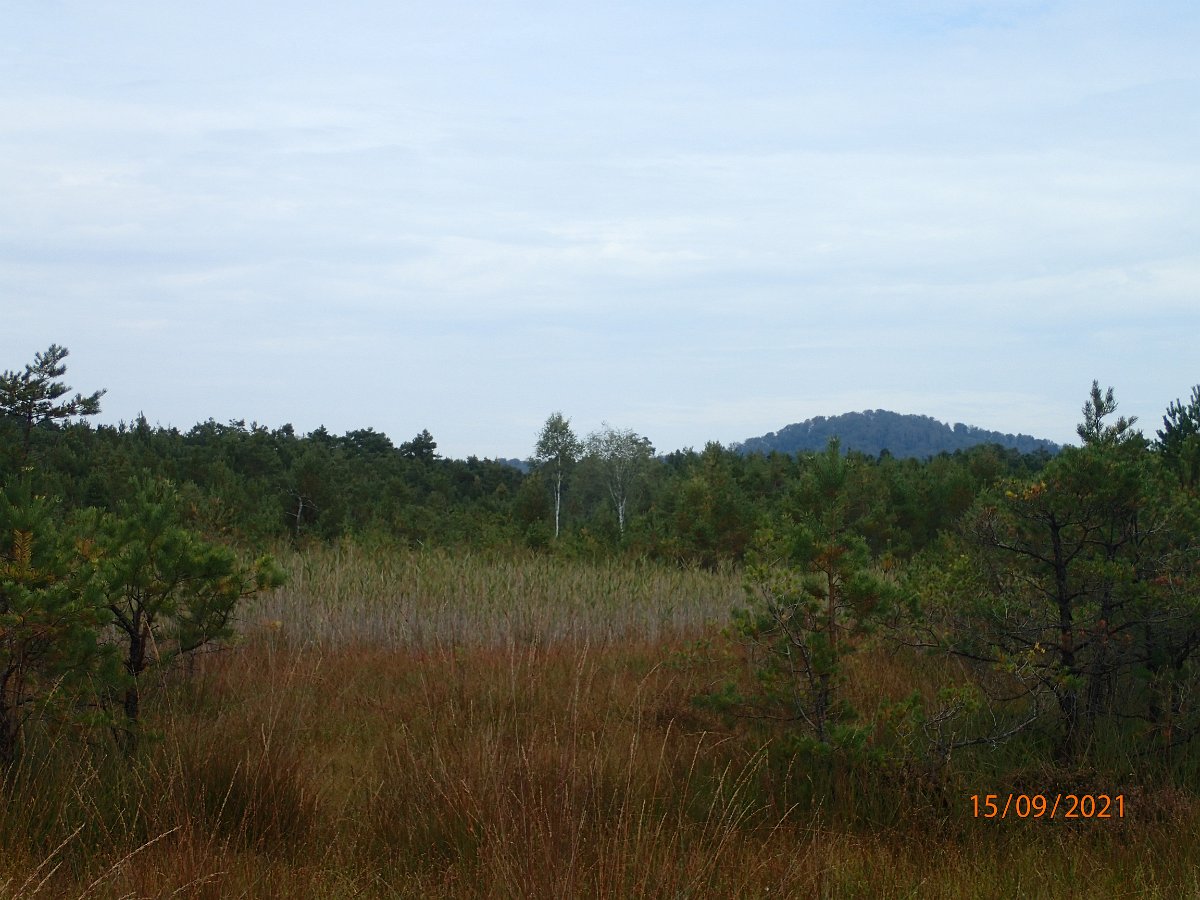 P9155459.JPG