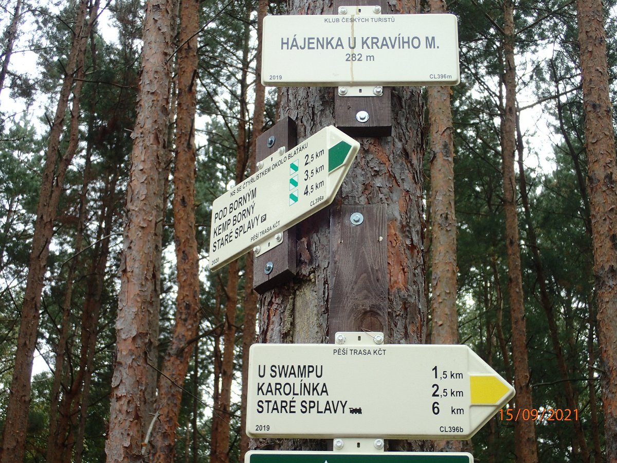 P9155461.JPG
