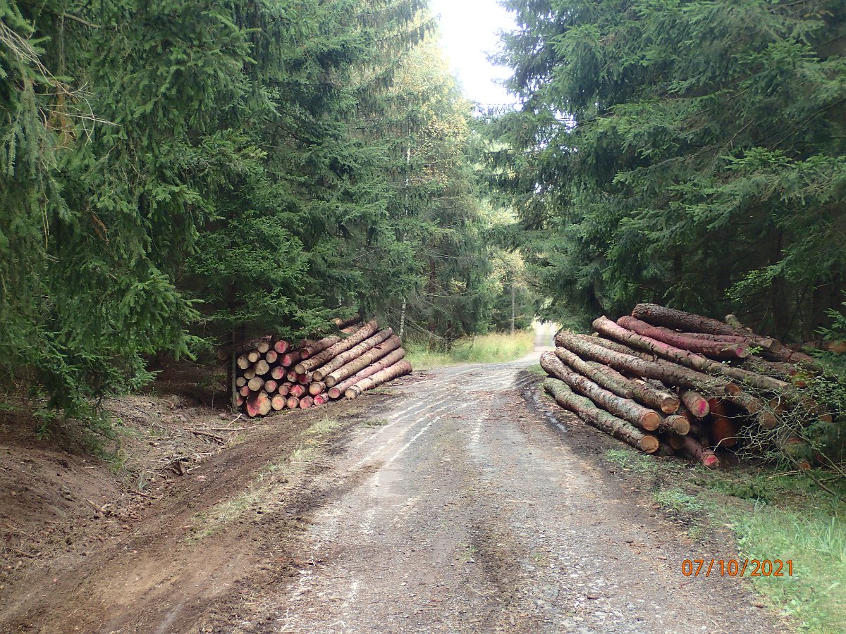 PA075529.JPG