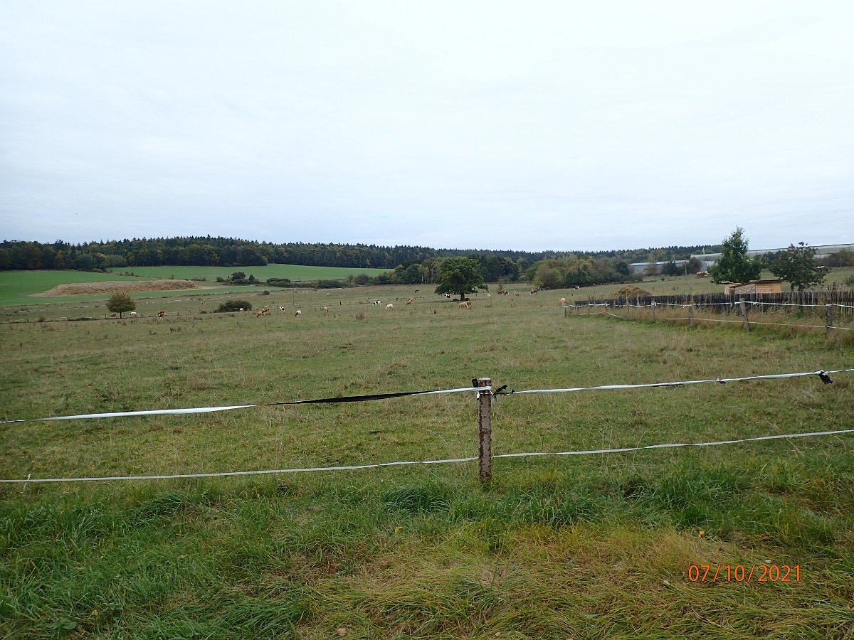 PA075544.JPG