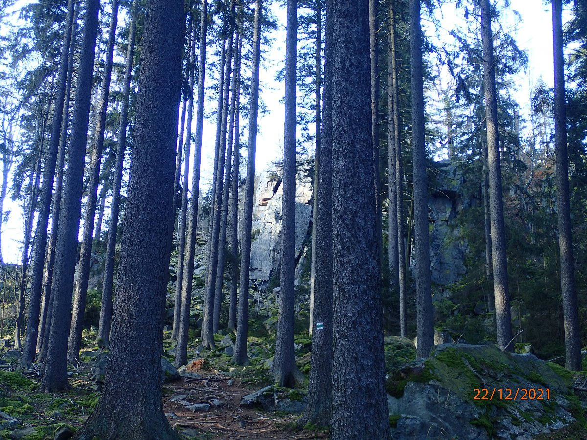 PC225822.JPG