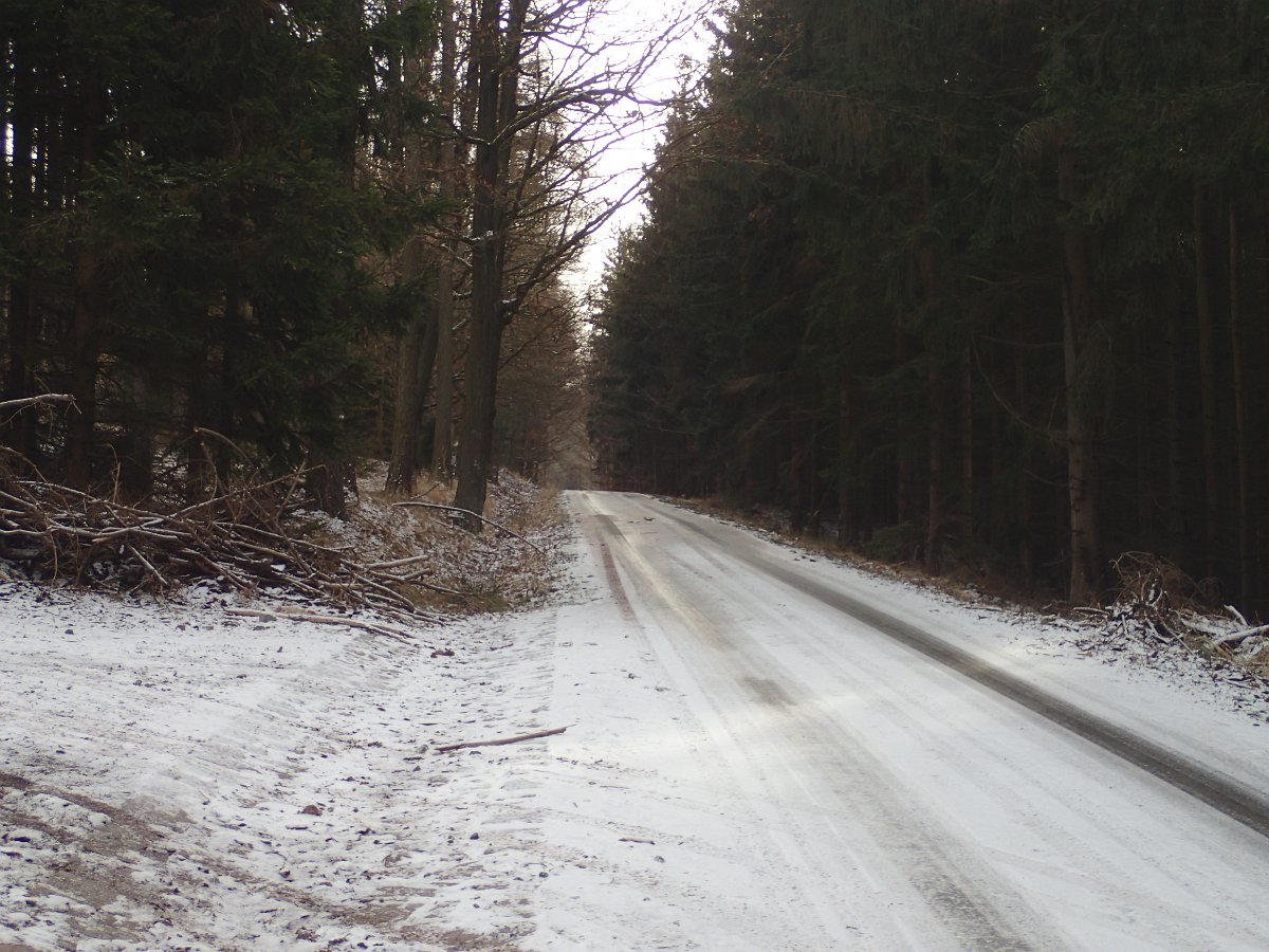 P1075934.JPG
