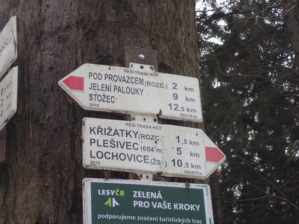 P1075938.JPG