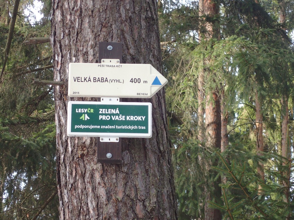 P1075953.JPG