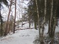 P1135989