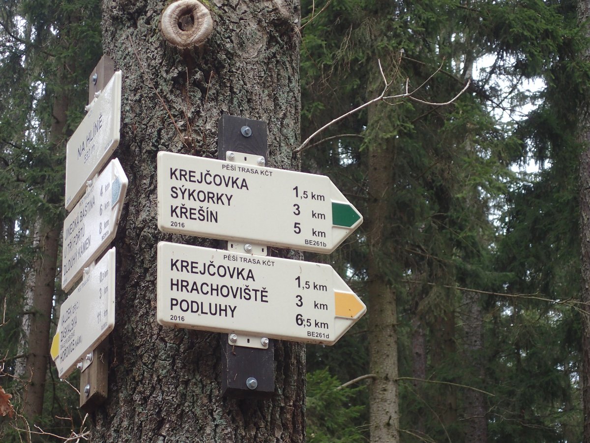 P2166196.JPG