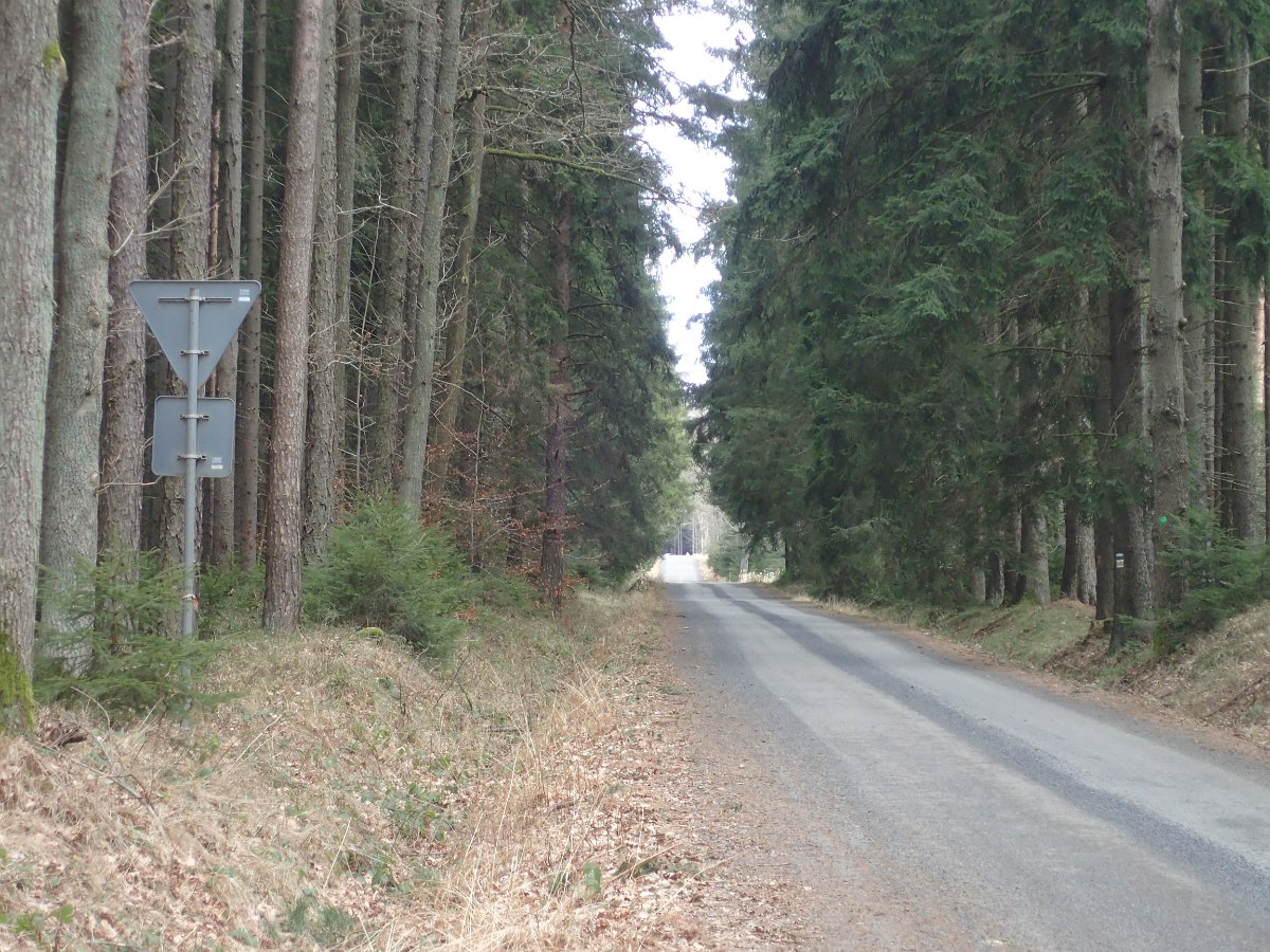 P2166197.JPG