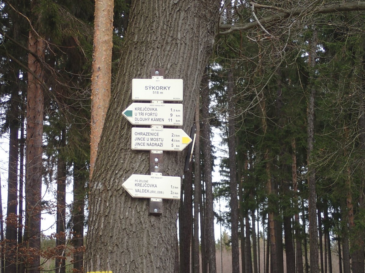 P2166201.JPG