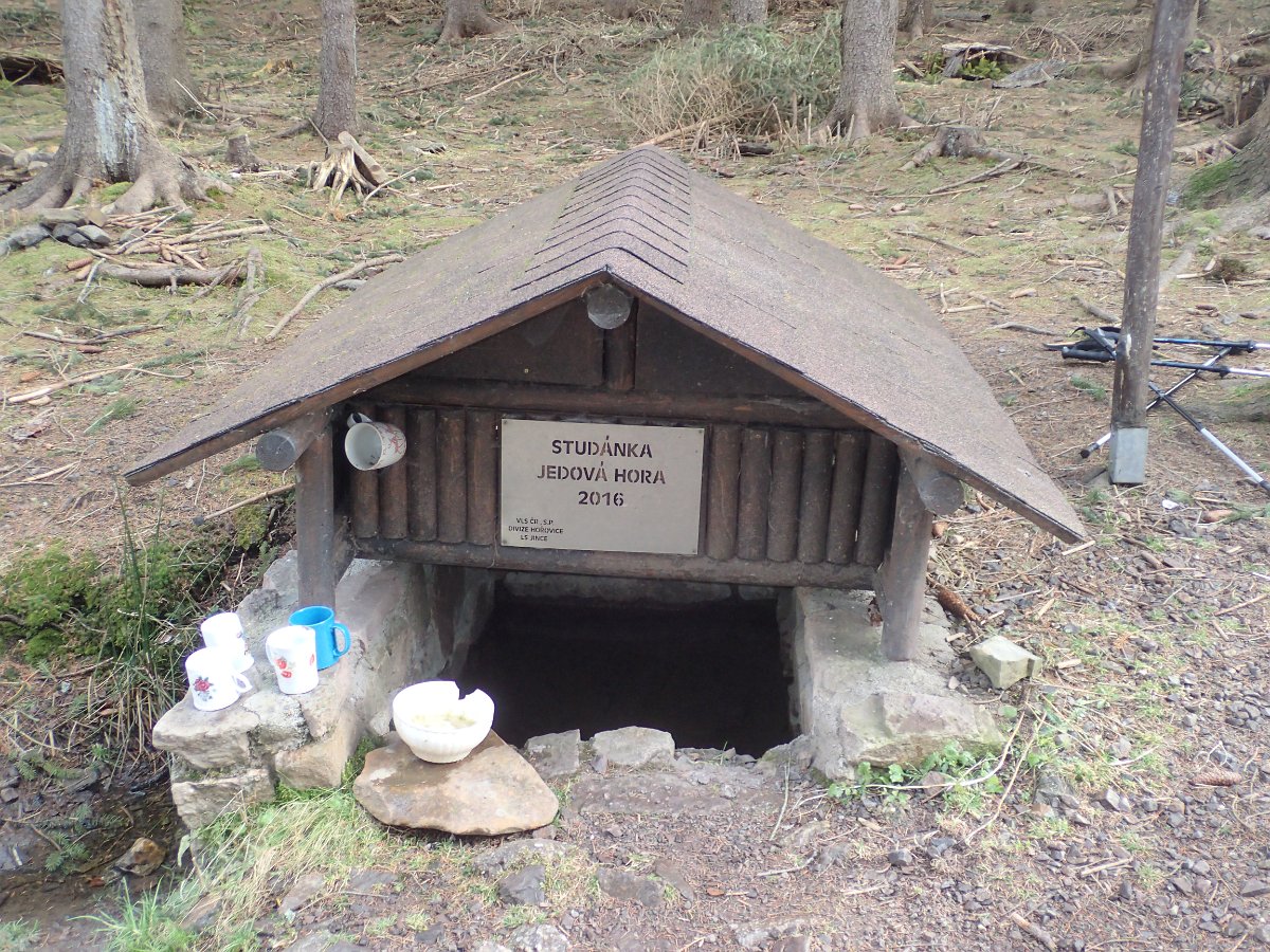 P2166202.JPG
