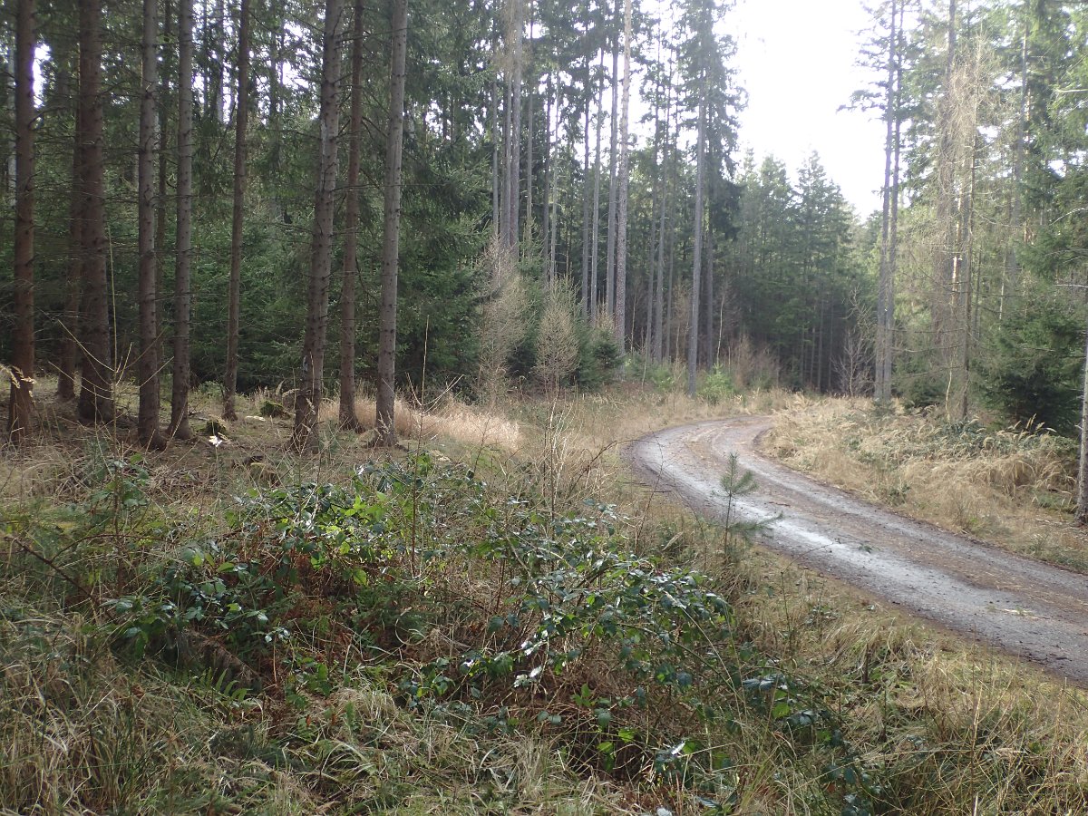 P2166206.JPG