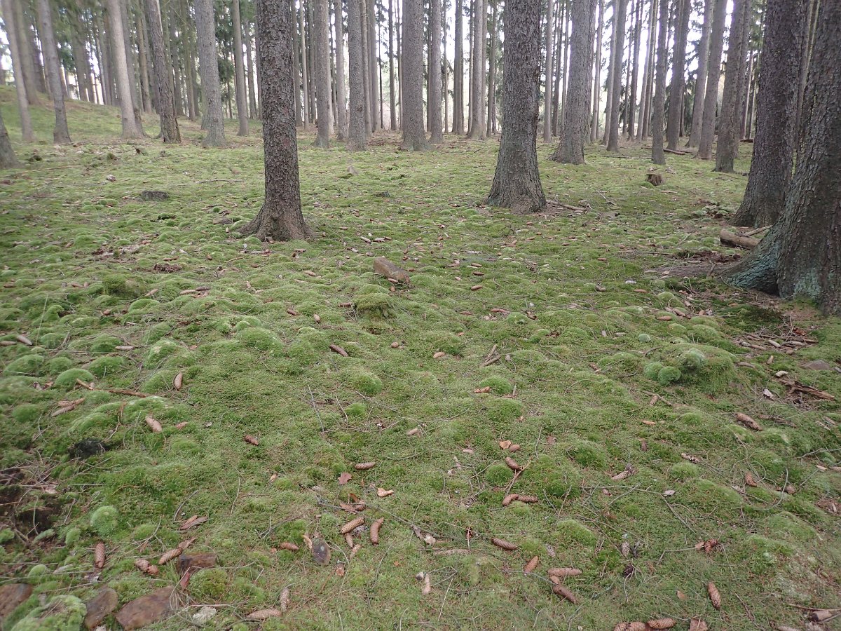 P2166207.JPG