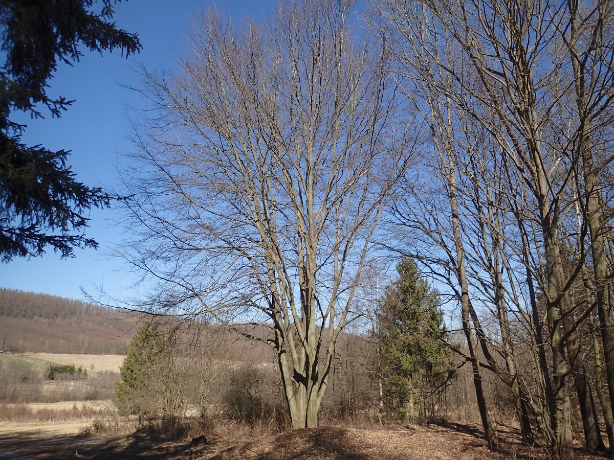 P3236369.JPG