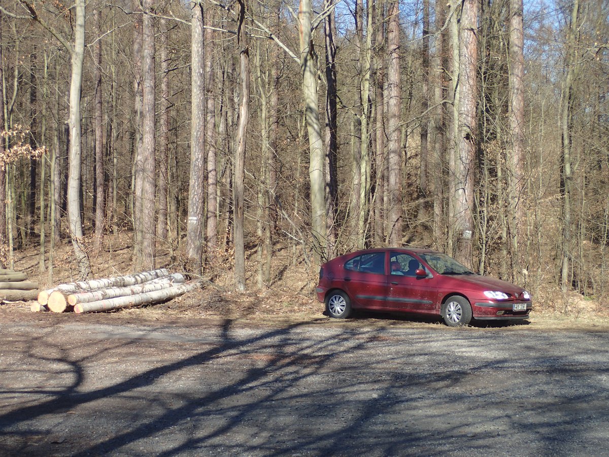P3236385.JPG