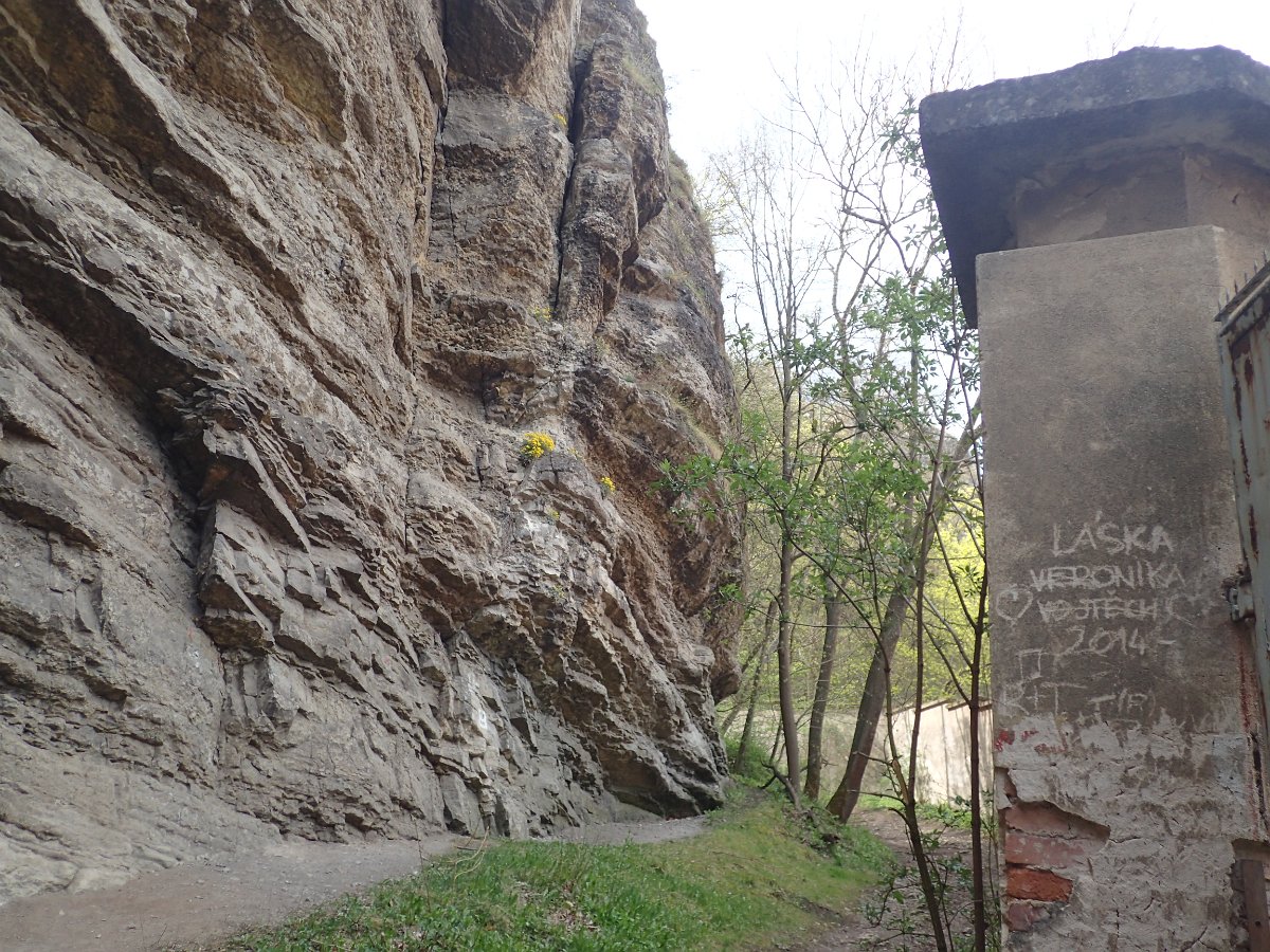 P4286550.JPG