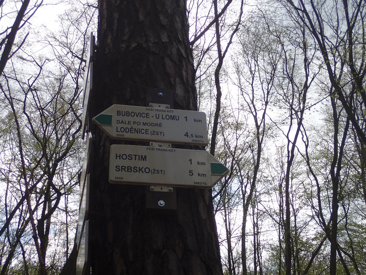 P4286555.JPG