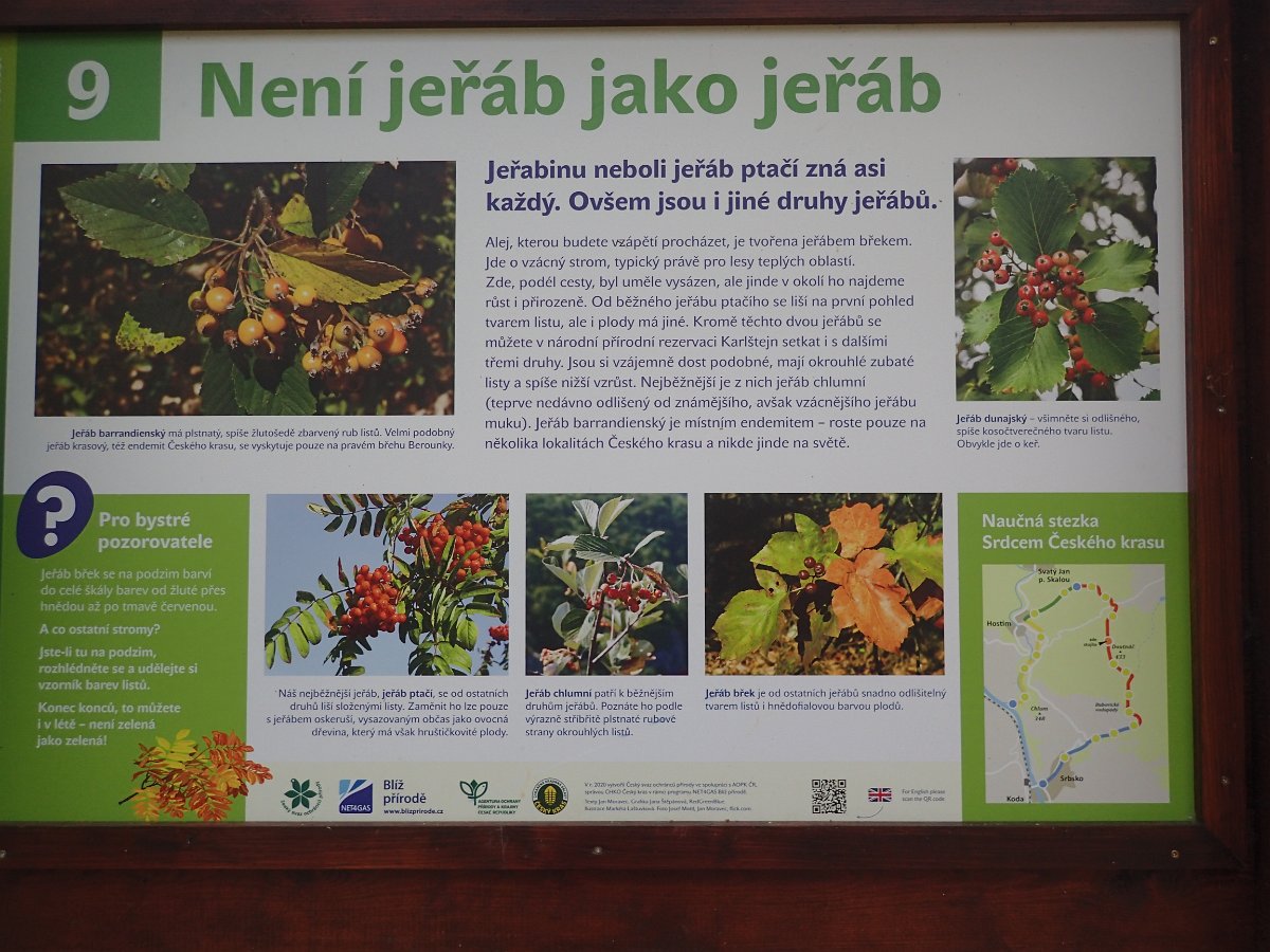 P4286560.JPG