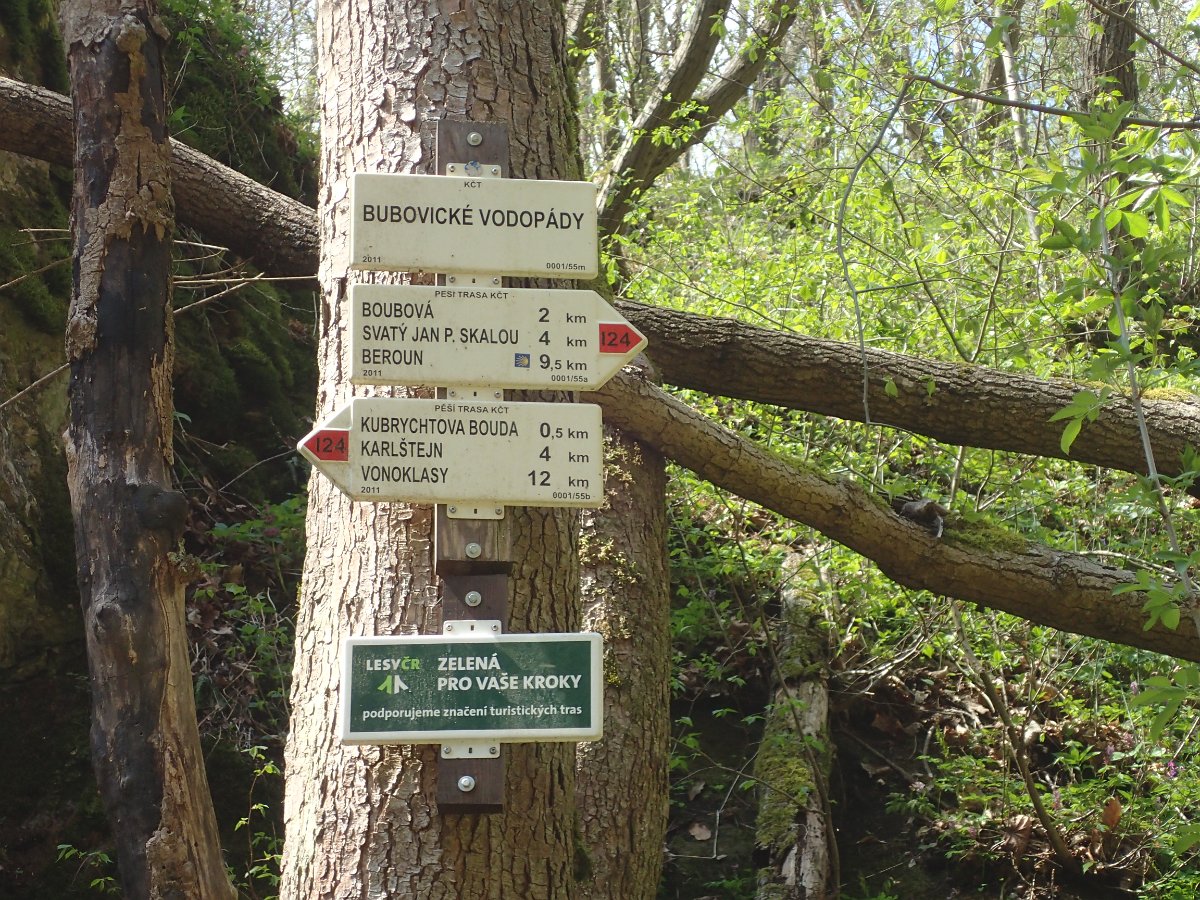 P4286573.JPG