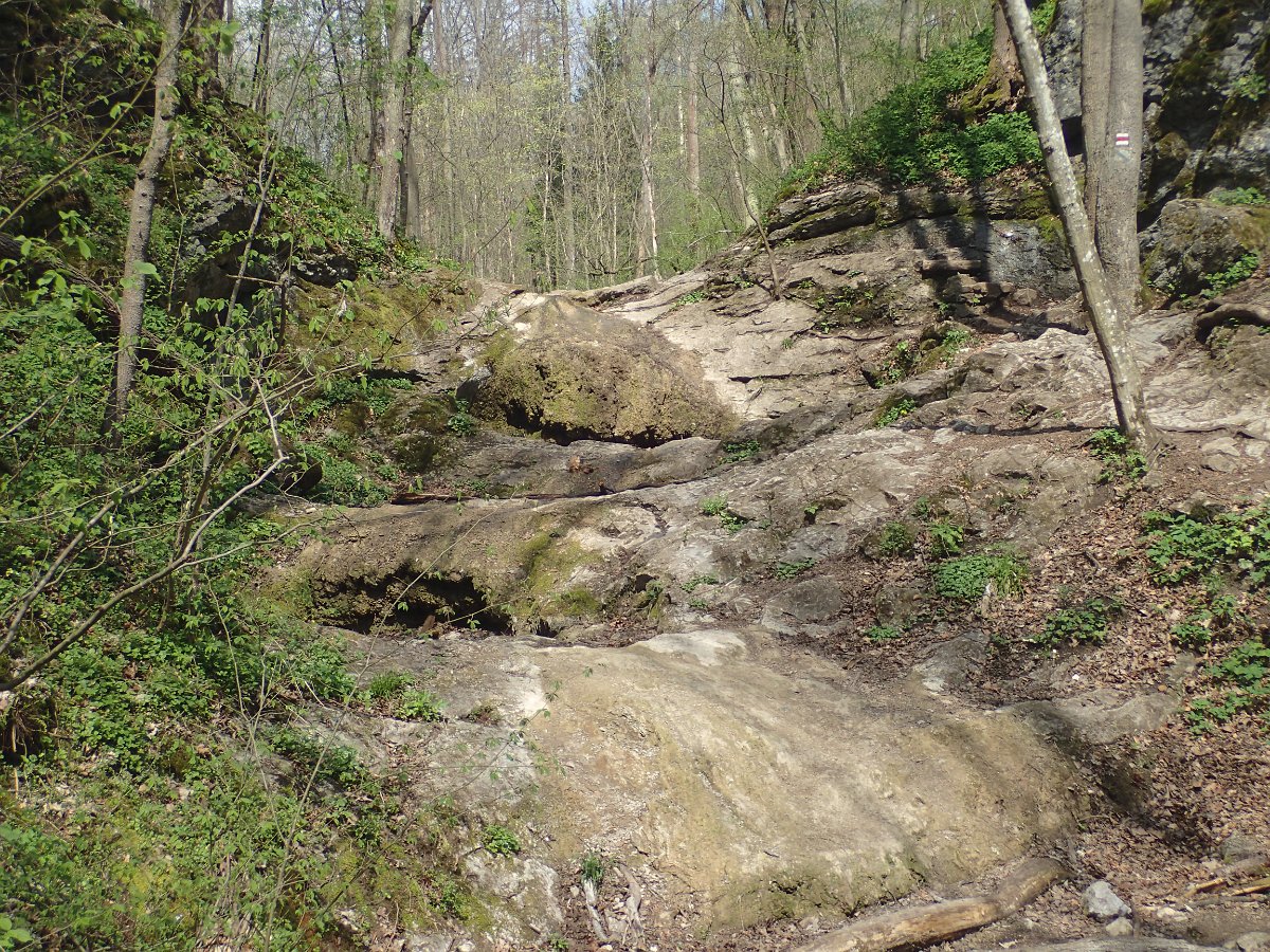 P4286575.JPG