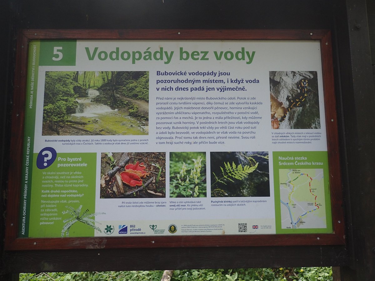 P4286576.JPG