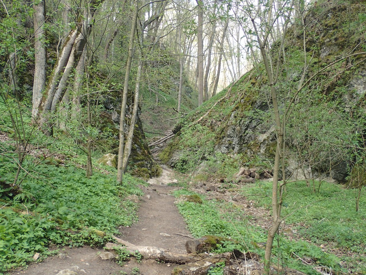 P4286577.JPG