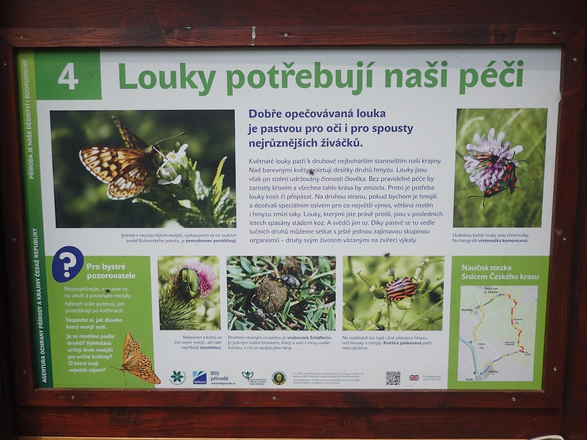 P4286583.JPG